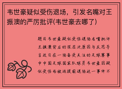 韦世豪疑似受伤退场，引发名嘴对王振澳的严厉批评(韦世豪去哪了)